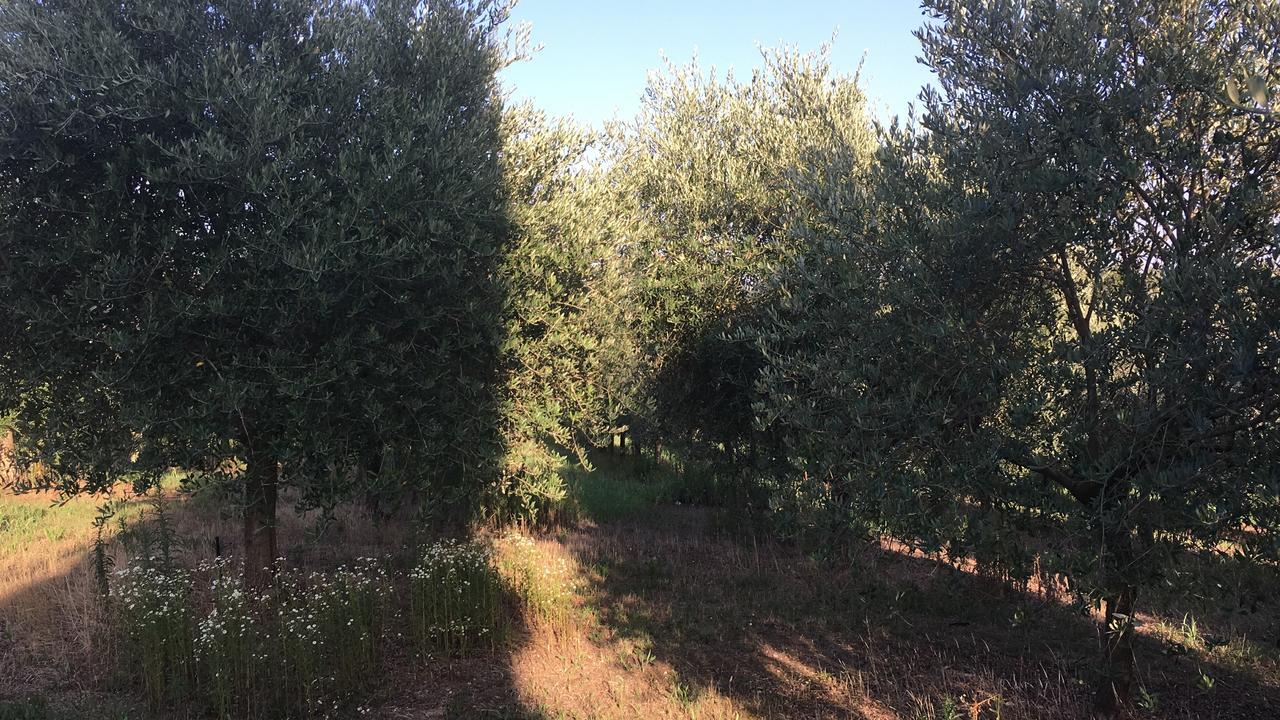 Casa Vacanze Soleluna Montichiari Luaran gambar